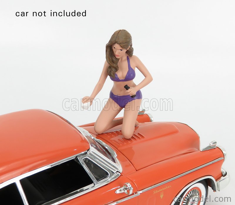 Bikini Car Wash